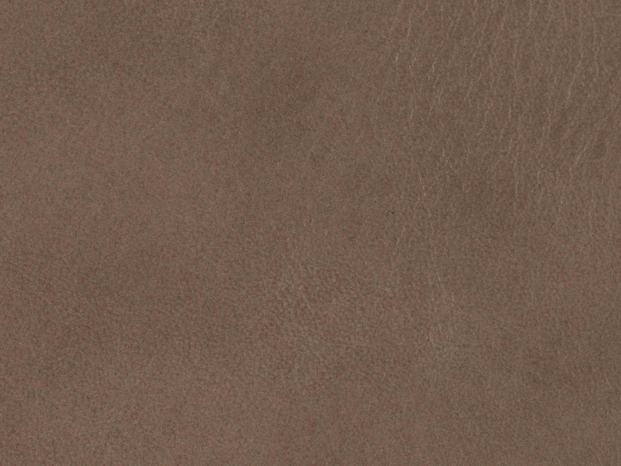 Hooker Furniture Caleigh Recliner in Beige