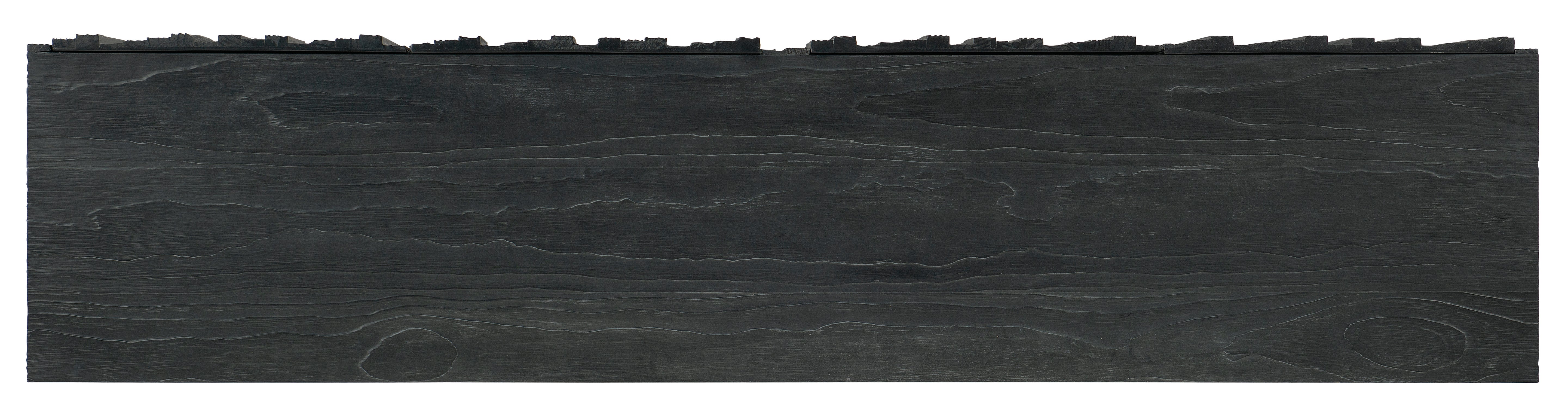 Hooker Furniture Chapman Shou Sugi Ban Entertainment Console in Black