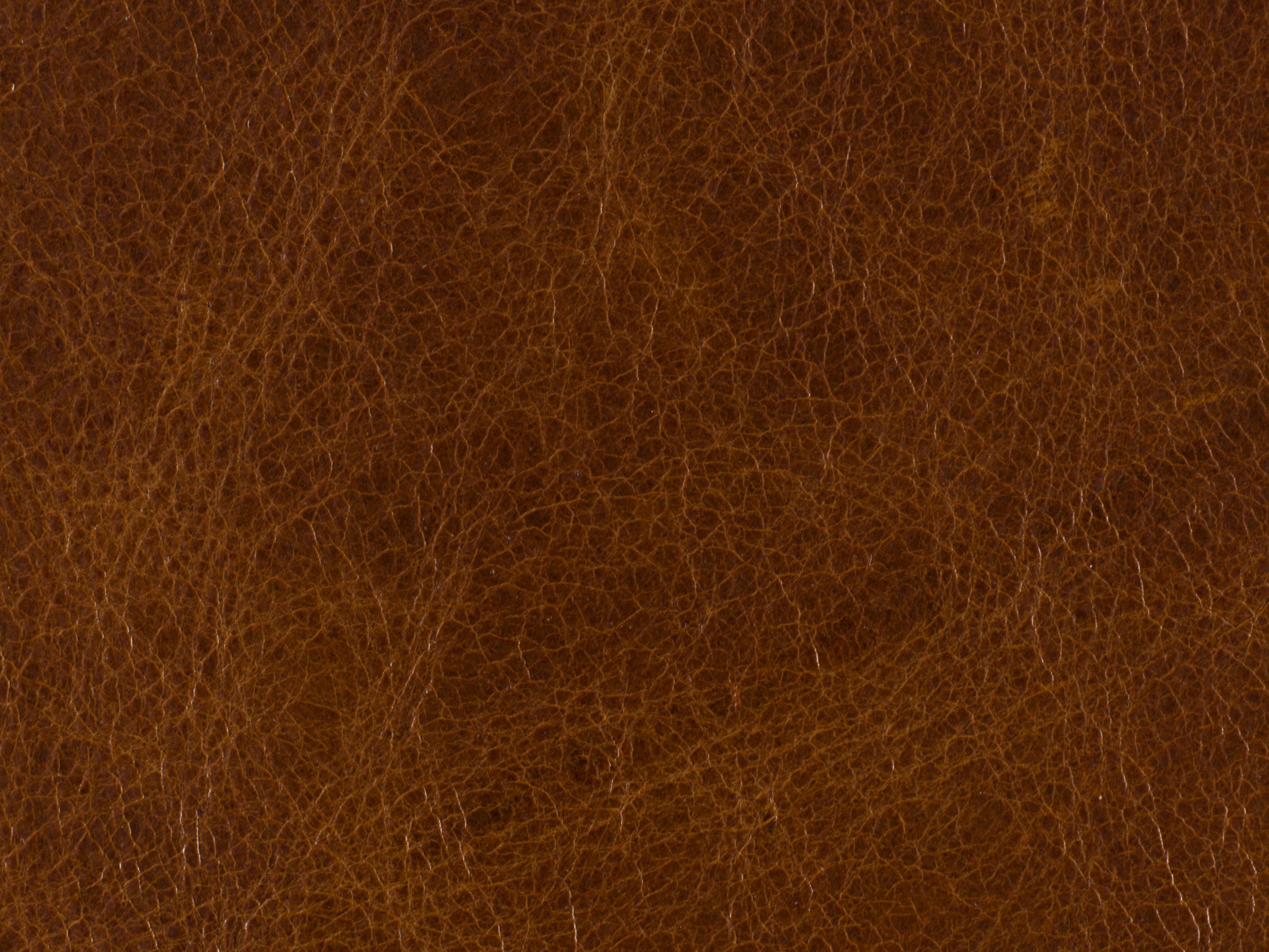Hooker Furniture Shasta Recliner in Medium Brown