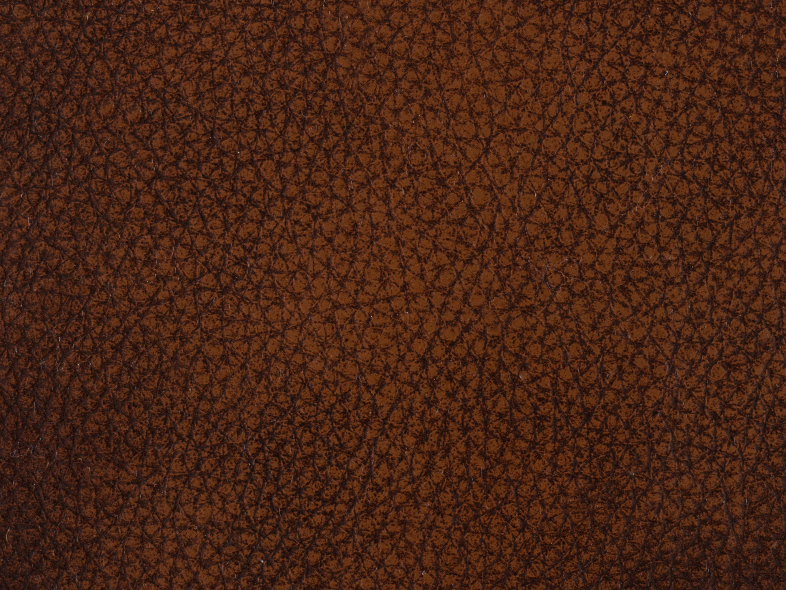 Hooker Furniture Montgomery Sofa in Dark Brown